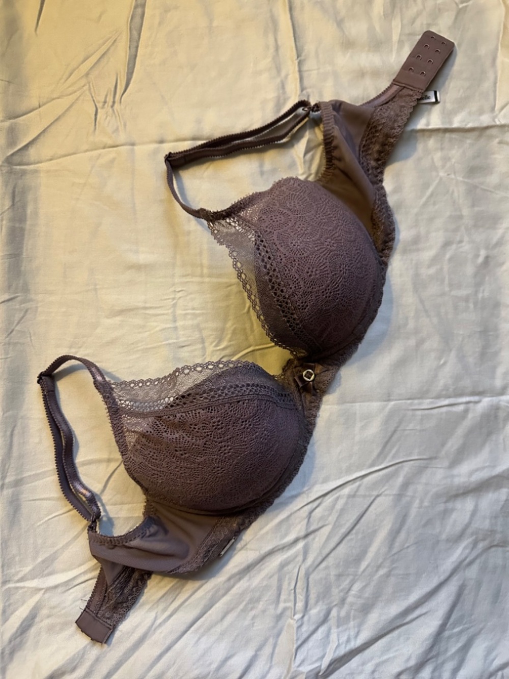 Chantelle Festivite Lace Plunge Bra 32DD (EU 70E/32E) in purple